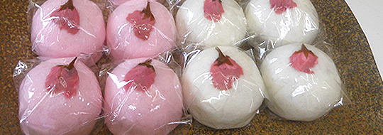 sakuraman