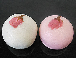 sakuraman1
