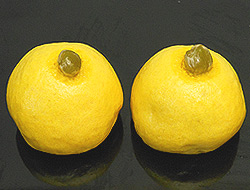 yuzuman1